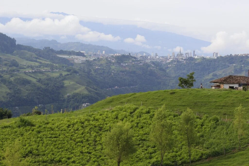 Paisaje verde del Eje Cafetero con Manizales al fondo