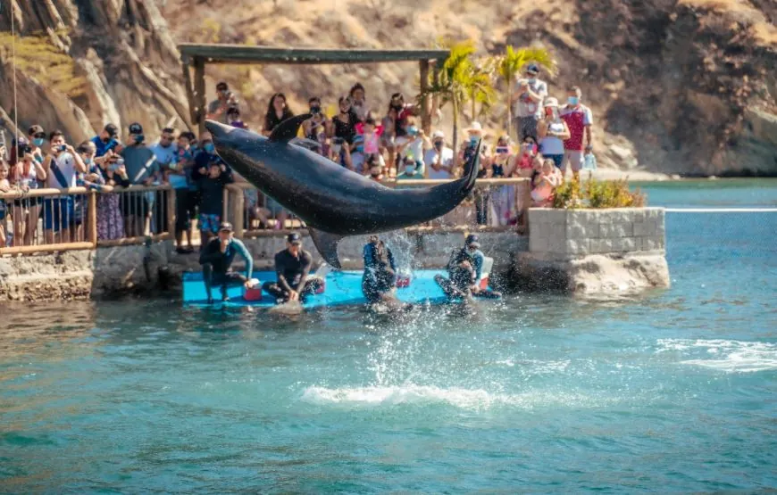 Acuario & Playa Blanca · fotografía 2 de 2