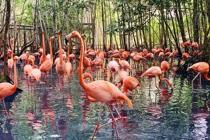 Barú con opcional Aviario · fotografía 1 de 3