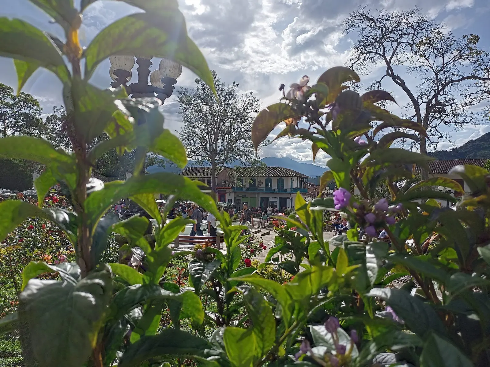 Tour a Jardín · fotografía 3 de 4