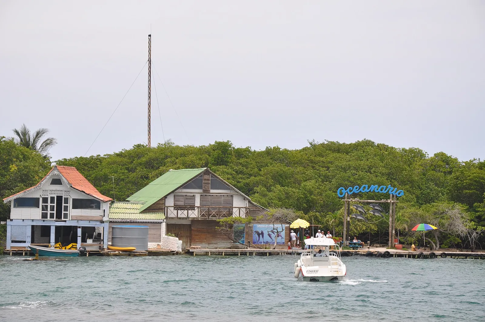 Oceanario + Islas Sport Boat · fotografía 1 de 3