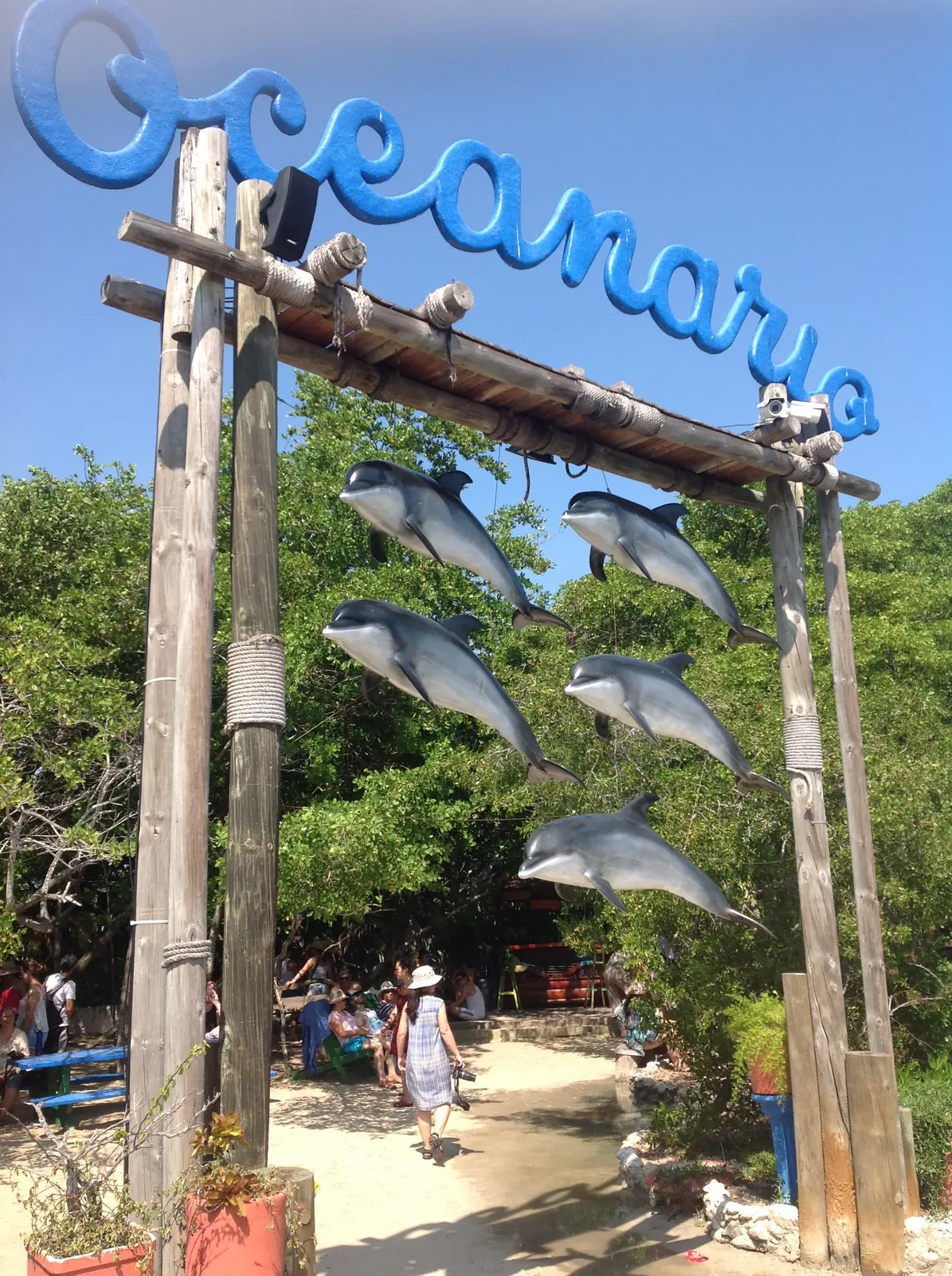Oceanario + Islas Sport Boat · fotografía 2 de 3